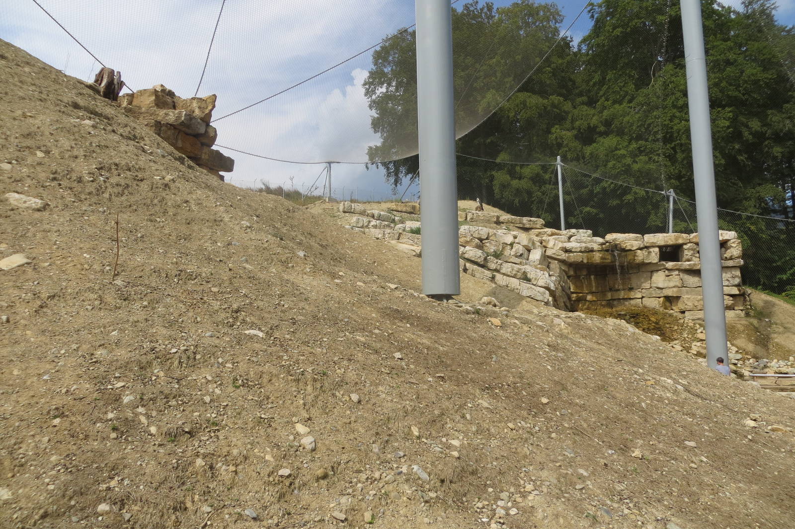 Zoo La Garenne - Walkthrough Vulture and Ibex enclosure 150816