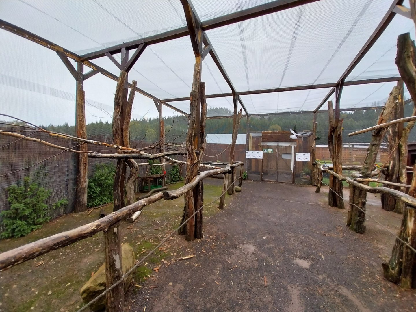 Zoo Łączna - Australia walk-through aviary