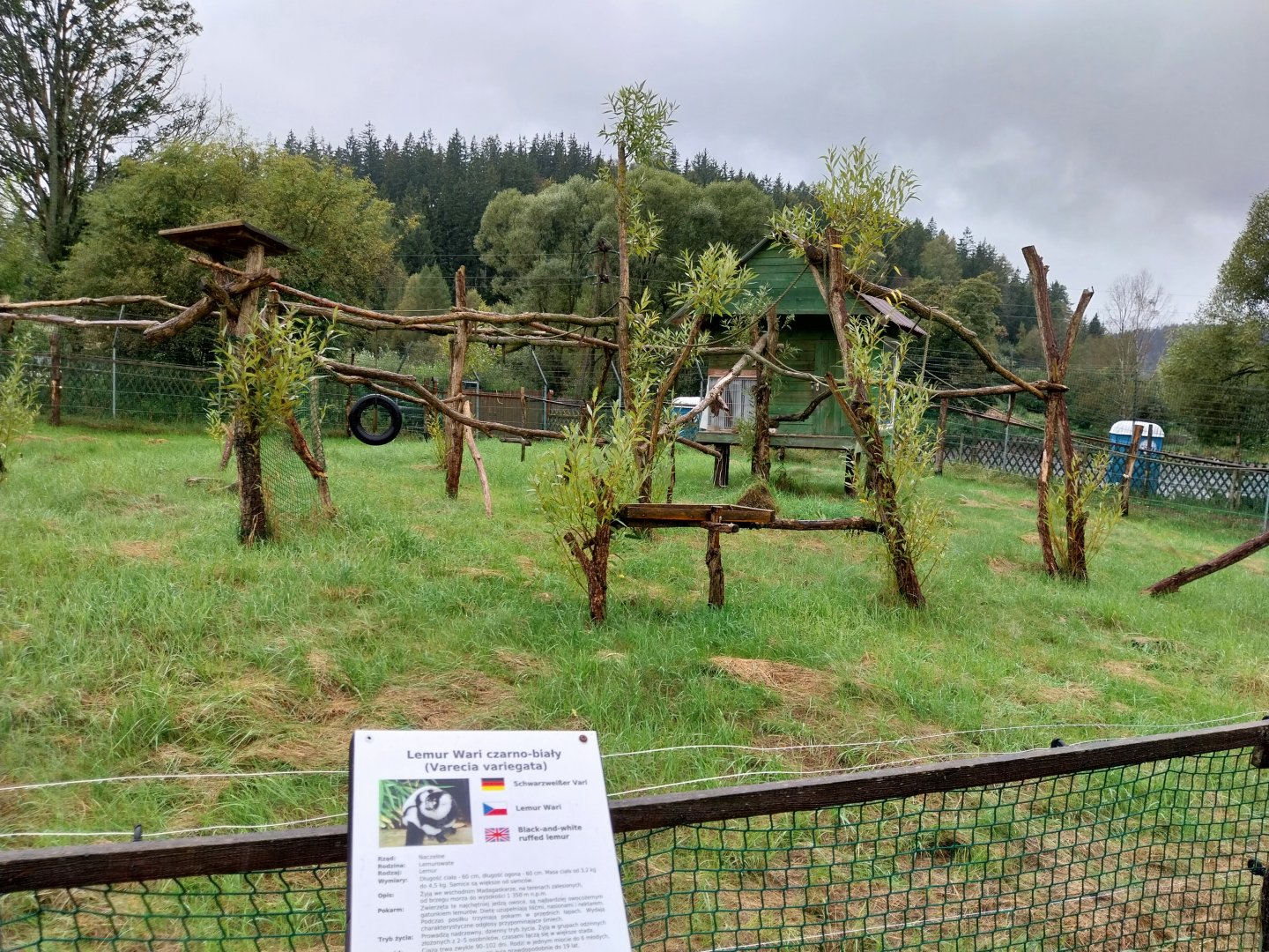 Zoo Łączna - Black-and-white Ruffed Lemur (Varecia variegata) enclosure