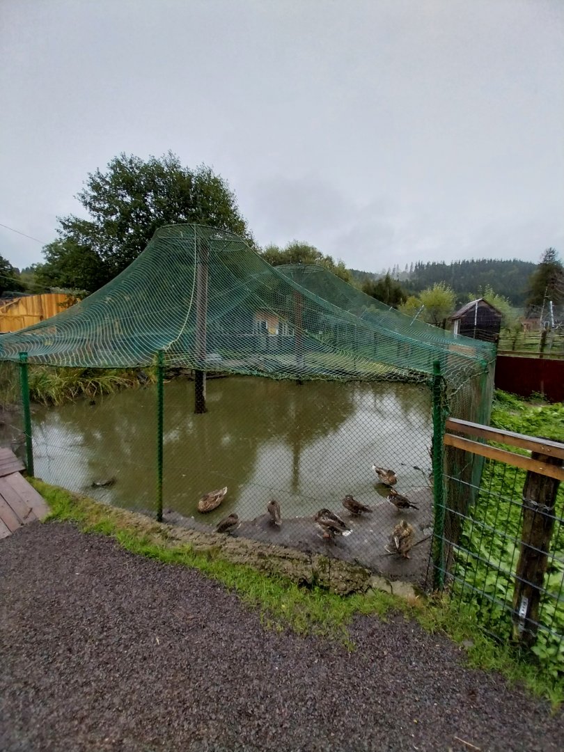 Zoo Łączna - Duck aviary