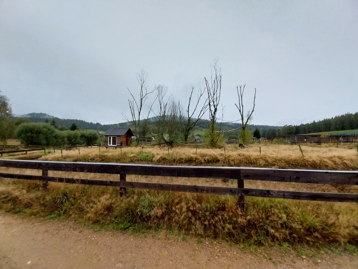 Zoo Łączna - Island for primates