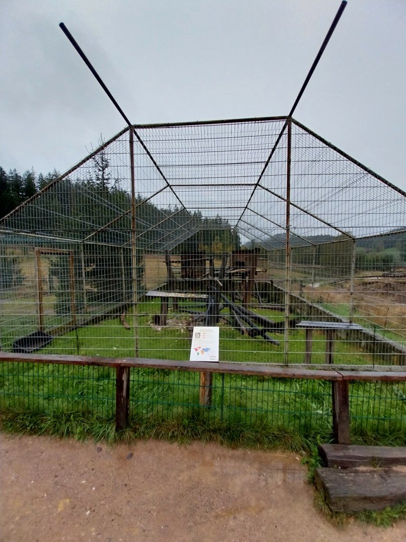 Zoo Łączna - Japanese Macaqua (Macaca fuscata) enclosure