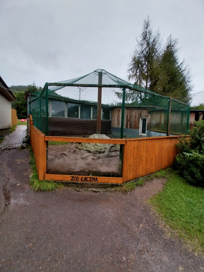 Zoo Łączna - meerkat enclosure