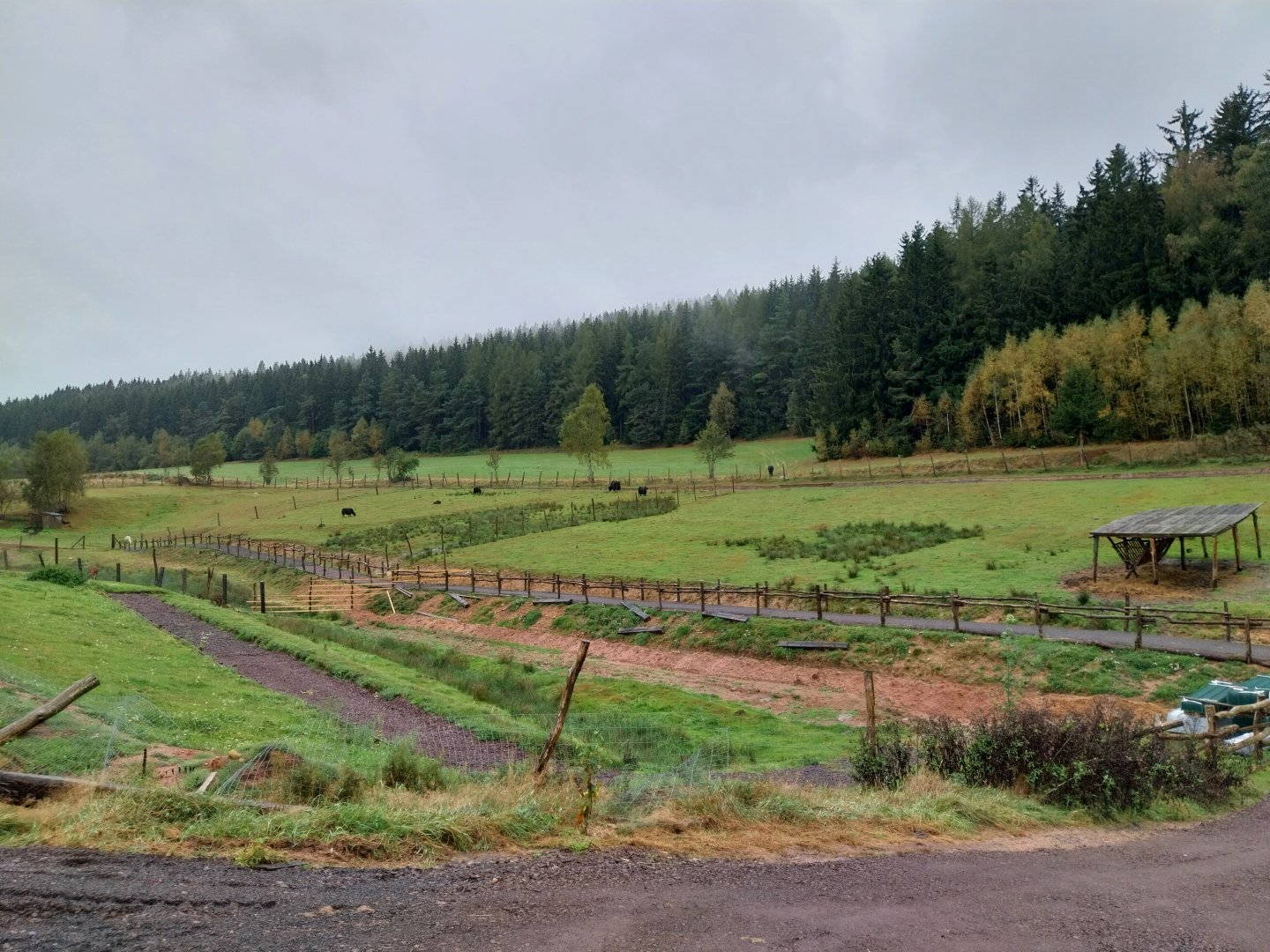 Zoo Łączna - Pastures for domestic mammals (yak, alpaca) and Guanaco (Lama guanicoe)