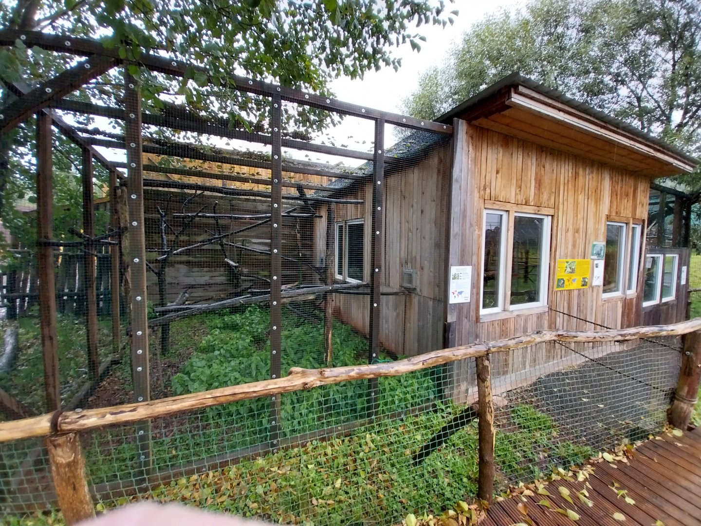 Zoo Łączna - Pygmy marmoset enclosure