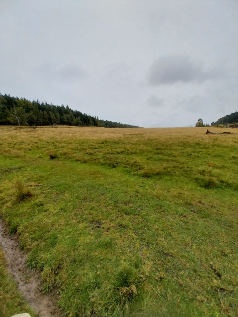 Zoo Łączna - Scenery at the back of the zoo
