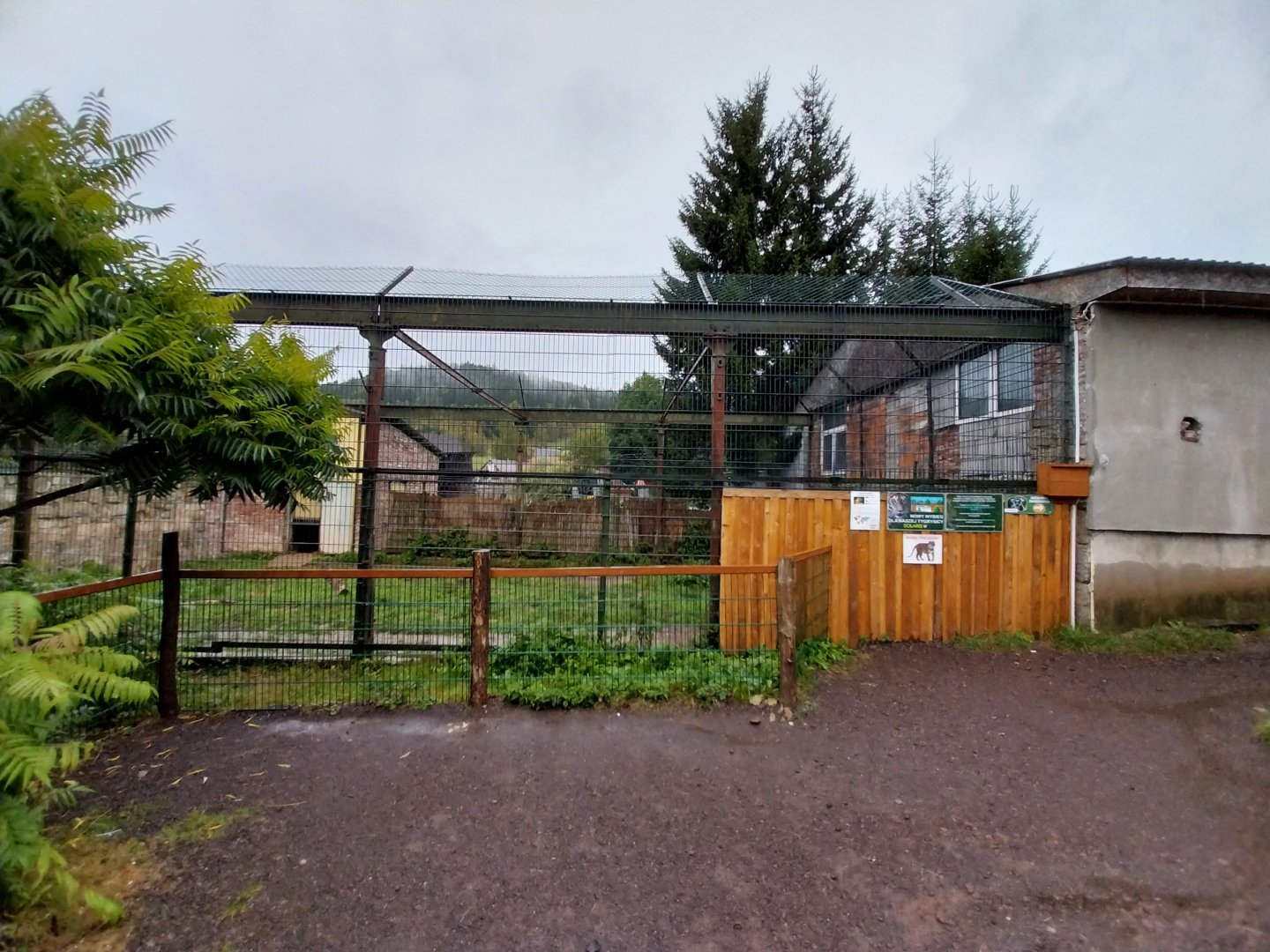 Zoo Łączna - Siberian Tiger enclosure