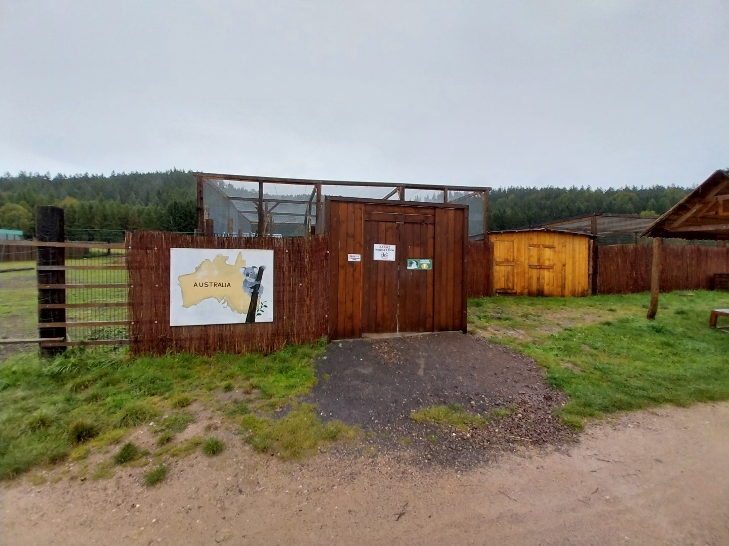 Zoo Łączna - Start of the Australia tour