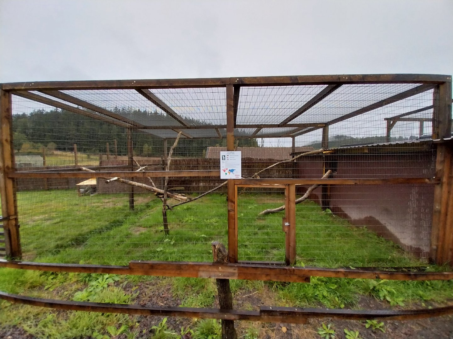 Zoo Łączna - White Cockatoo (Cacatua alba) aviary