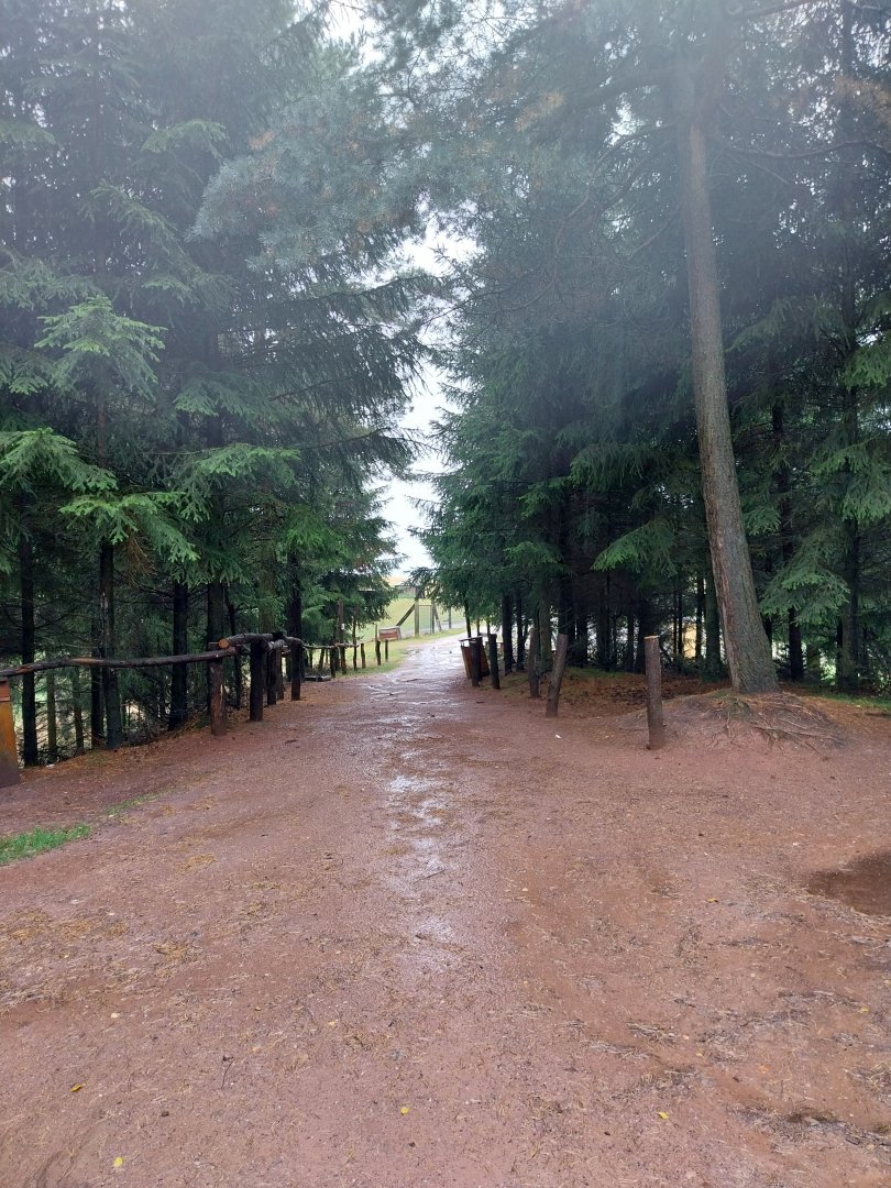 Zoo Łączna - Woodland track with aviaries