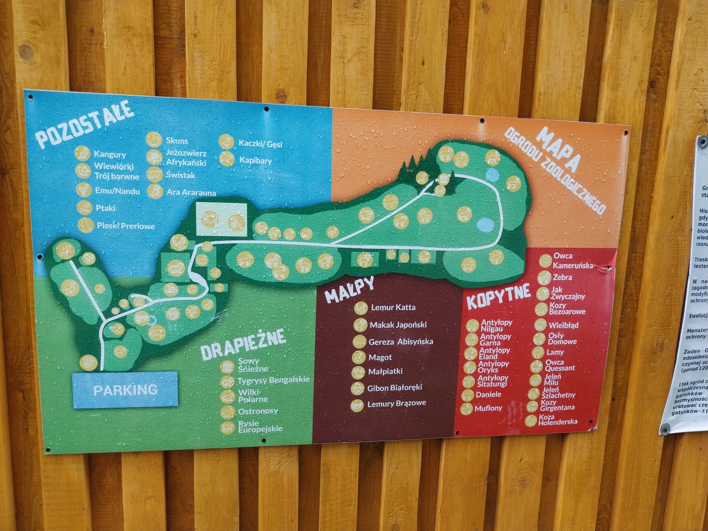Zoo Łączna - Zoo map