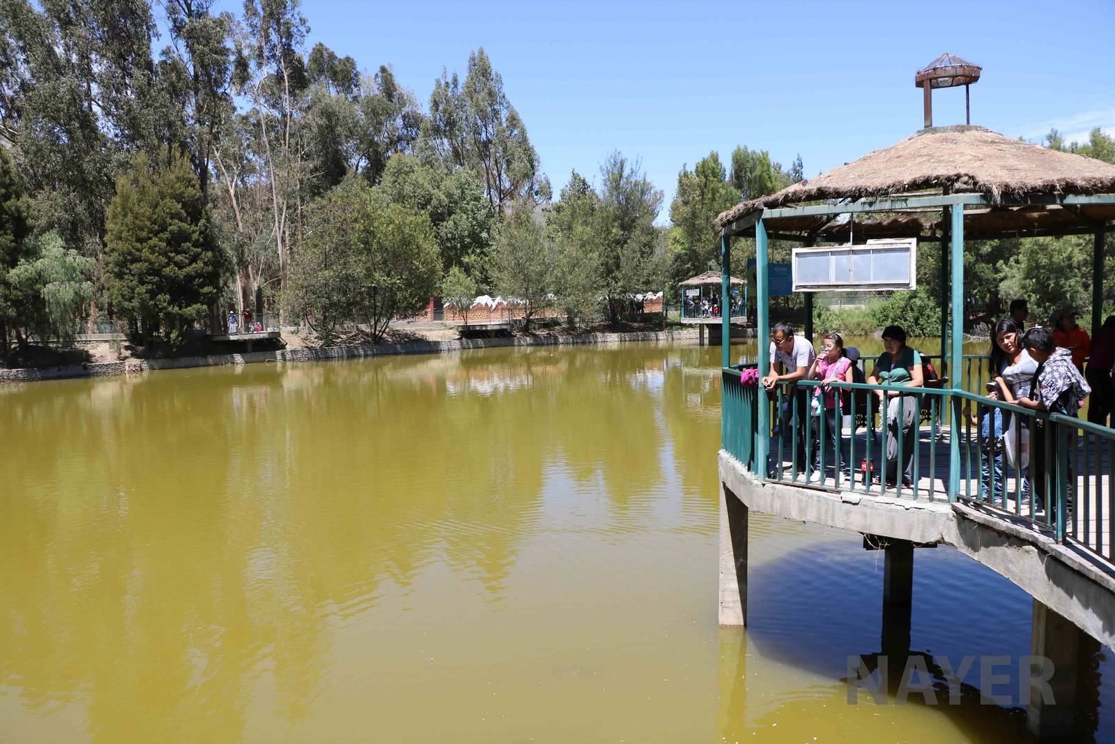 Zoo lake, March 2016
