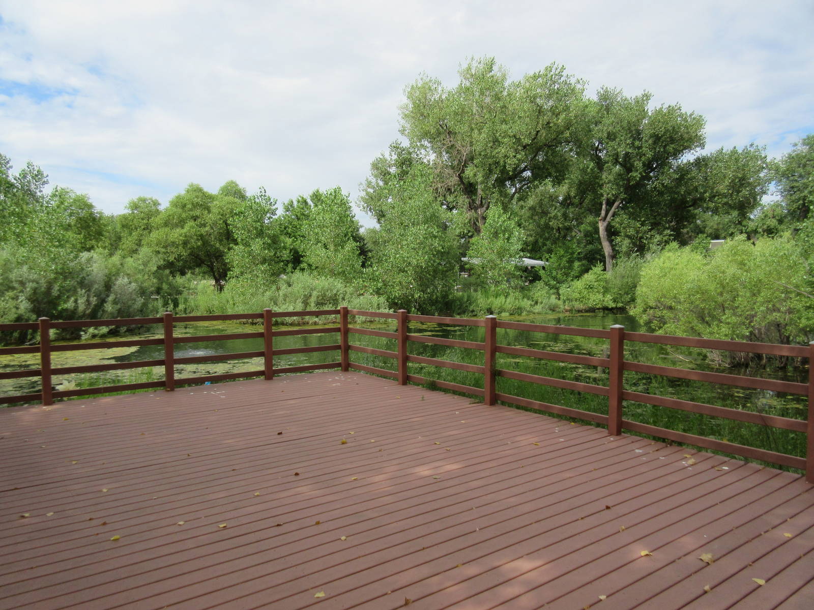 Zoo Lake - Viewing Dock