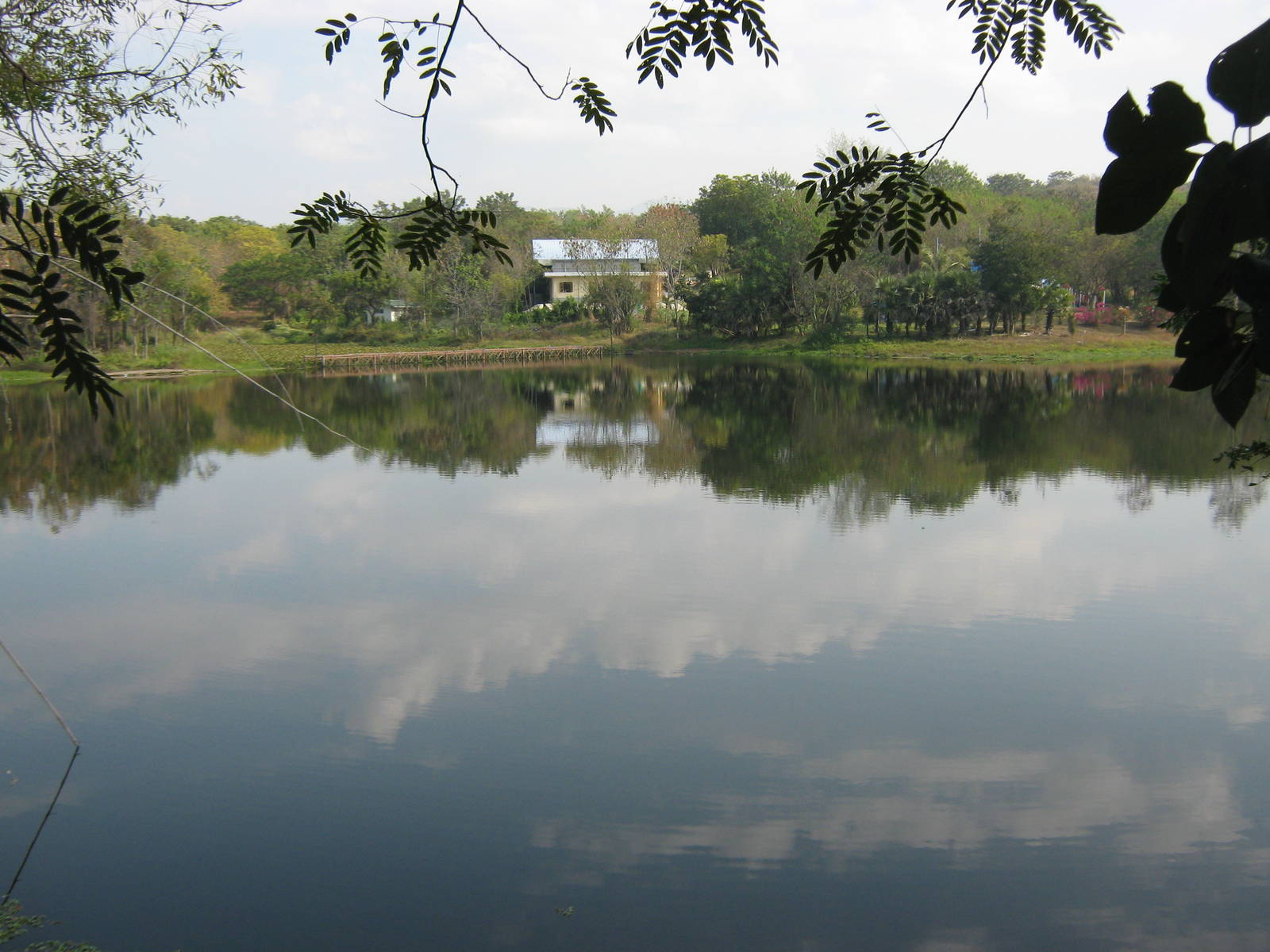 zoo lake