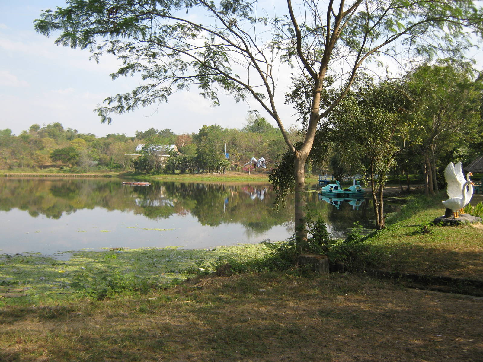 zoo lake