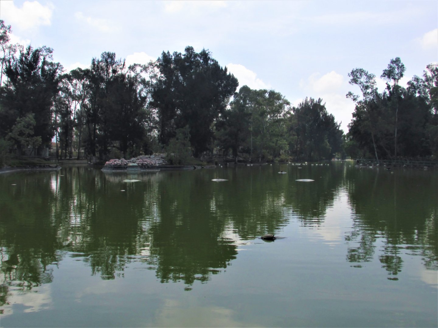 zoo lake