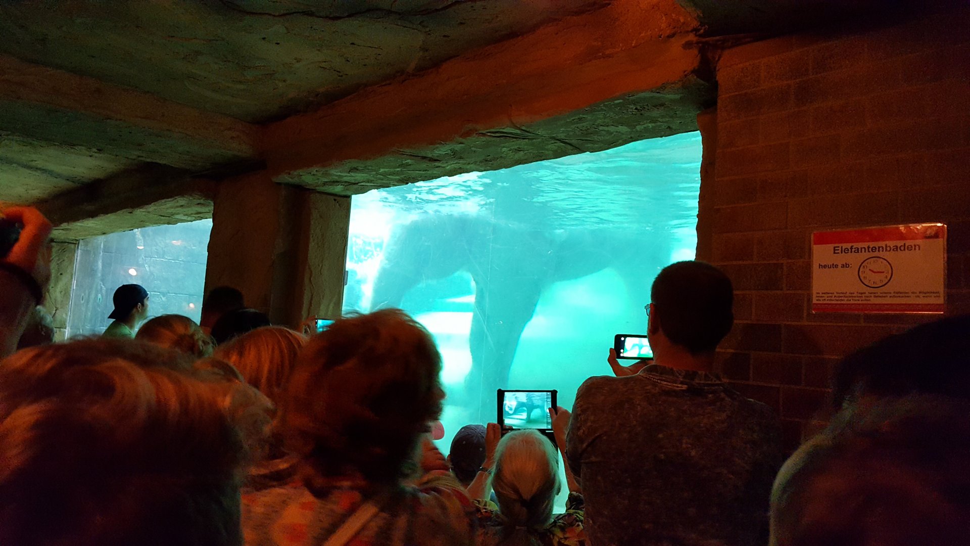 Zoo Leipzig - Asian Elephant exhibit