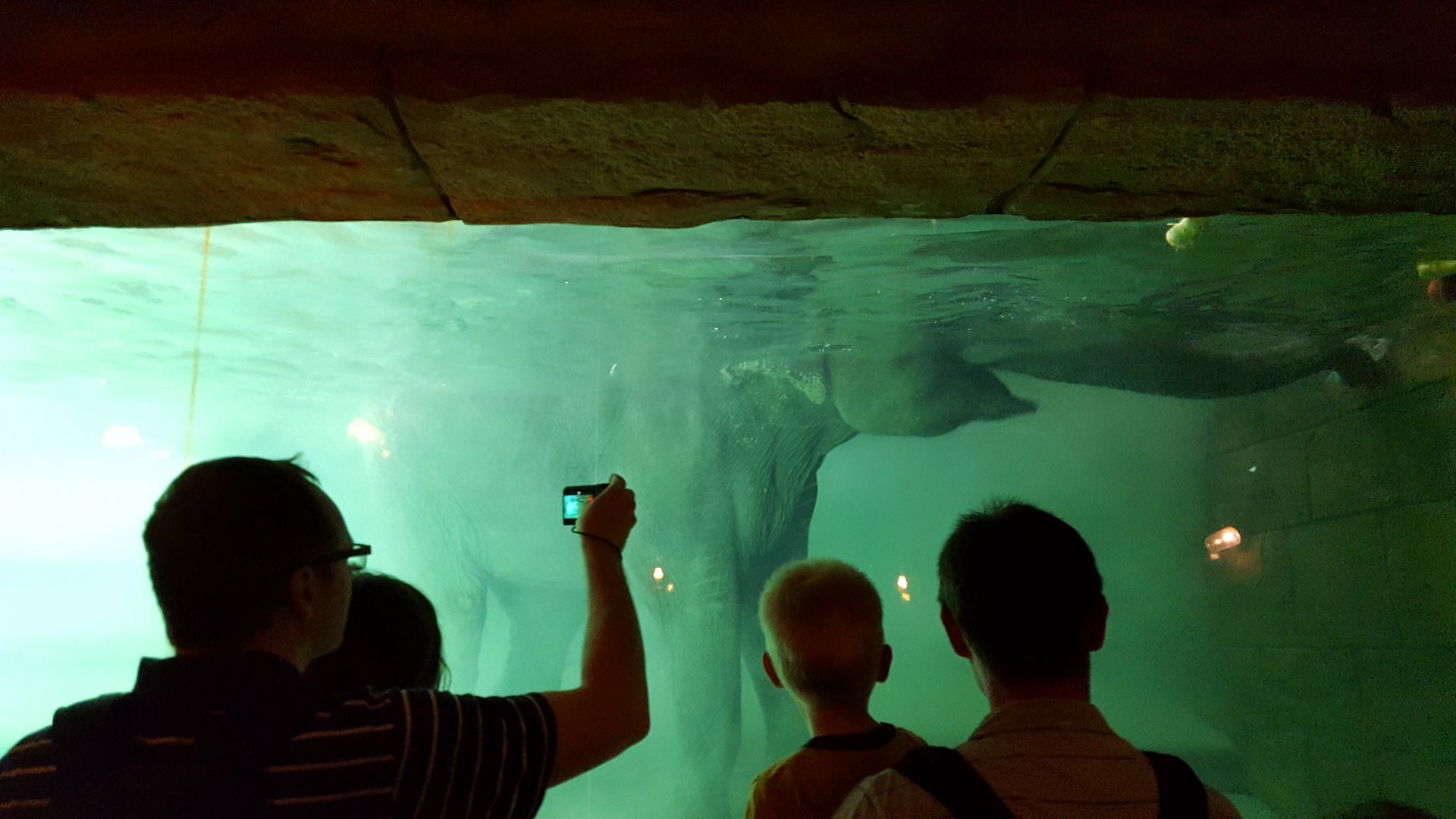 Zoo Leipzig - Asian Elephant exhibit