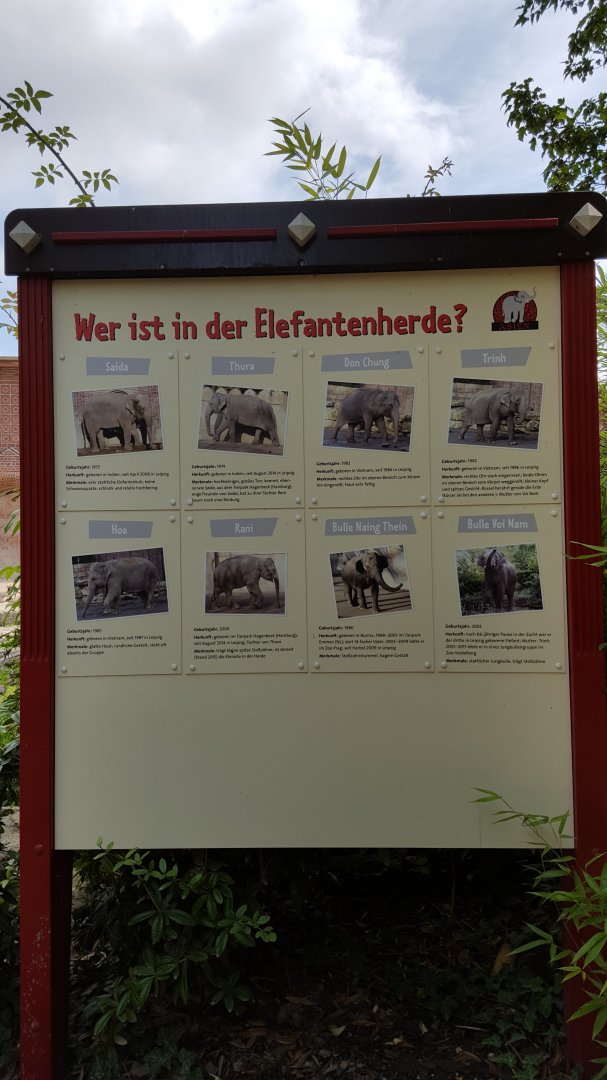 Zoo Leipzig - Asian Elephant exhibit