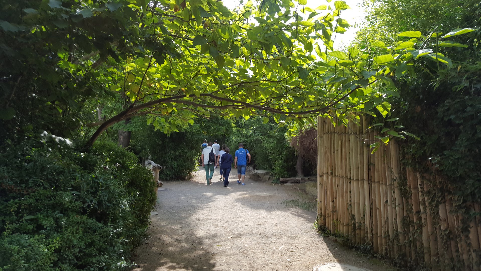Zoo Leipzig - Asian elephant exhibit