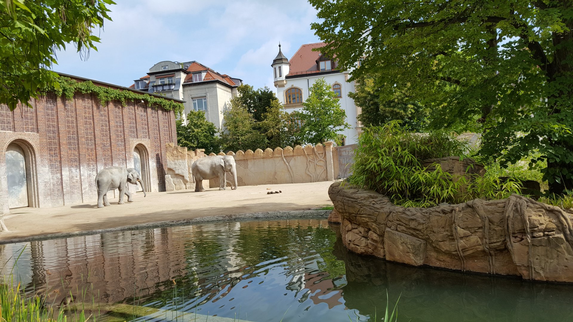 Zoo Leipzig - Asian elephant exhibit