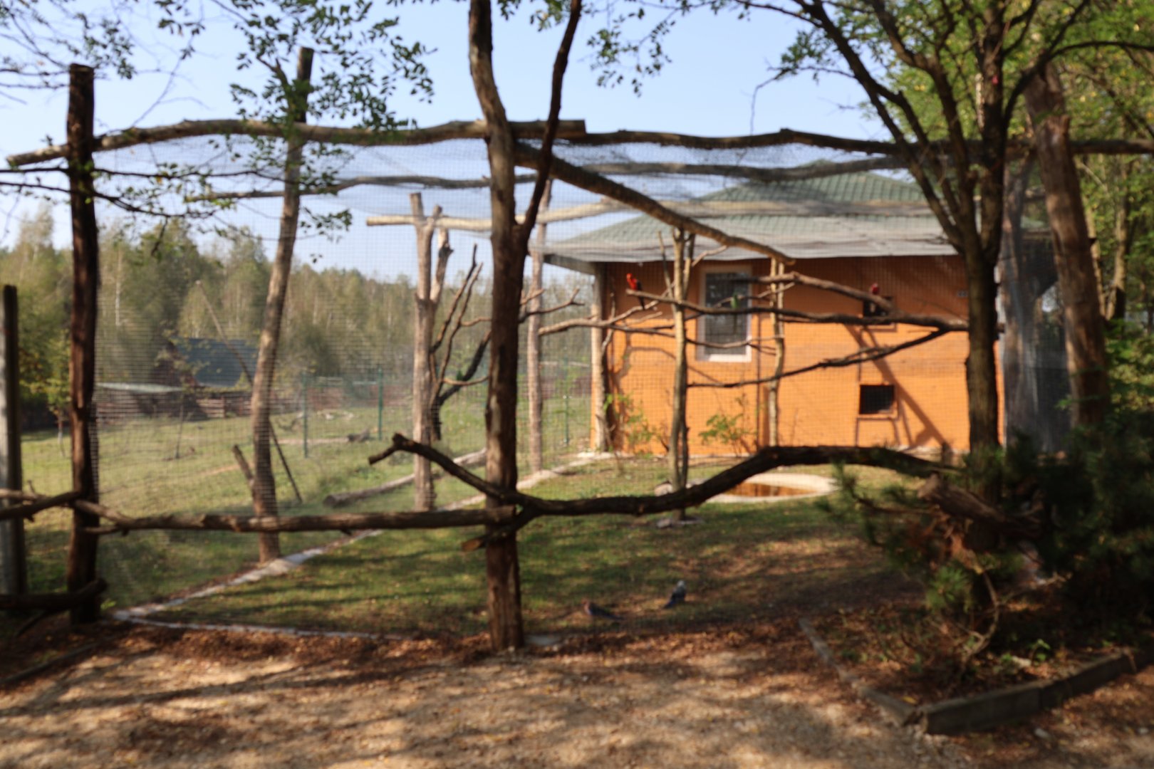 Zoo Lesne Zacisze (Lisow) - Australian aviary