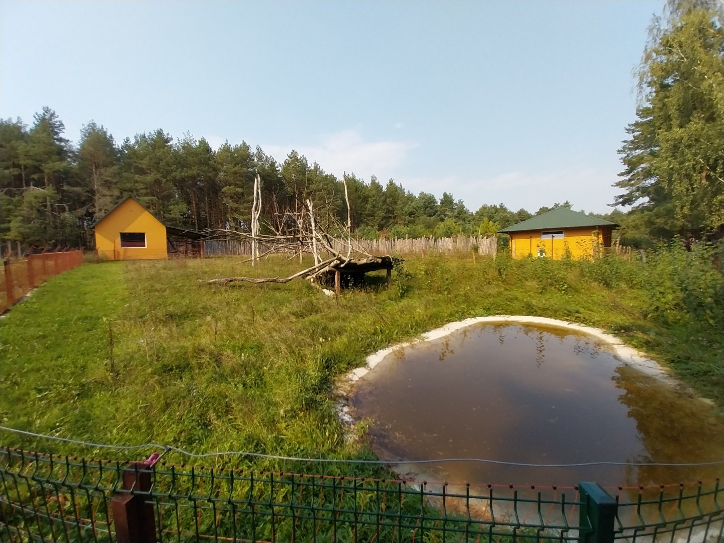 Zoo Lesne Zacisze (Lisow) - Brown Capuchin enclosure