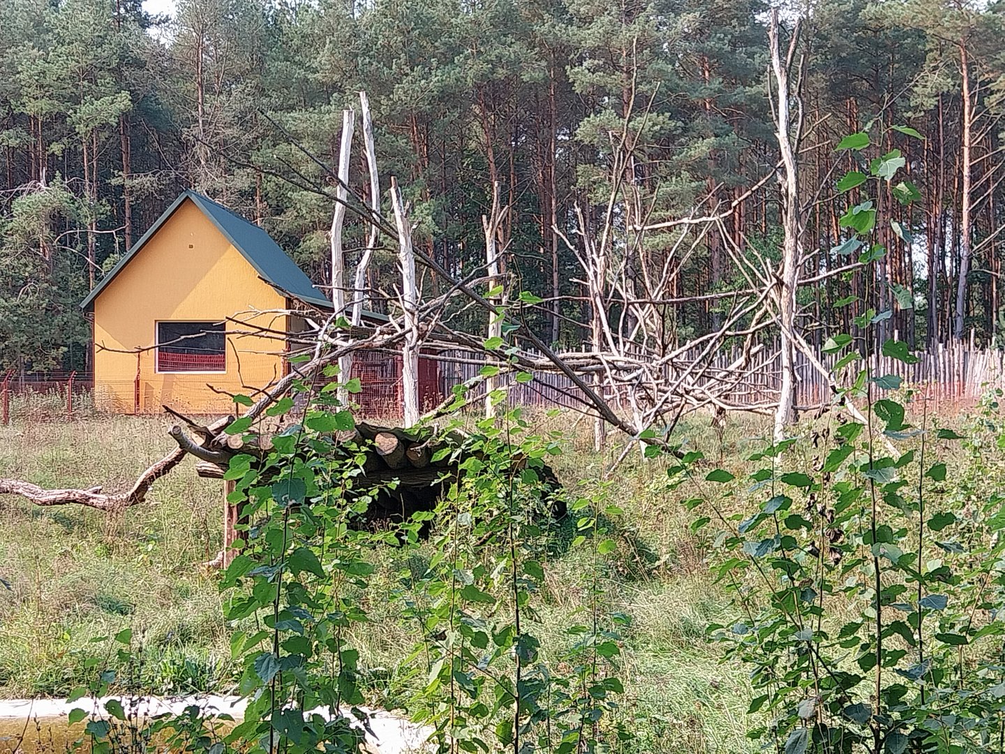 Zoo Lesne Zacisze (Lisow) - Brown Capuchin enclosure
