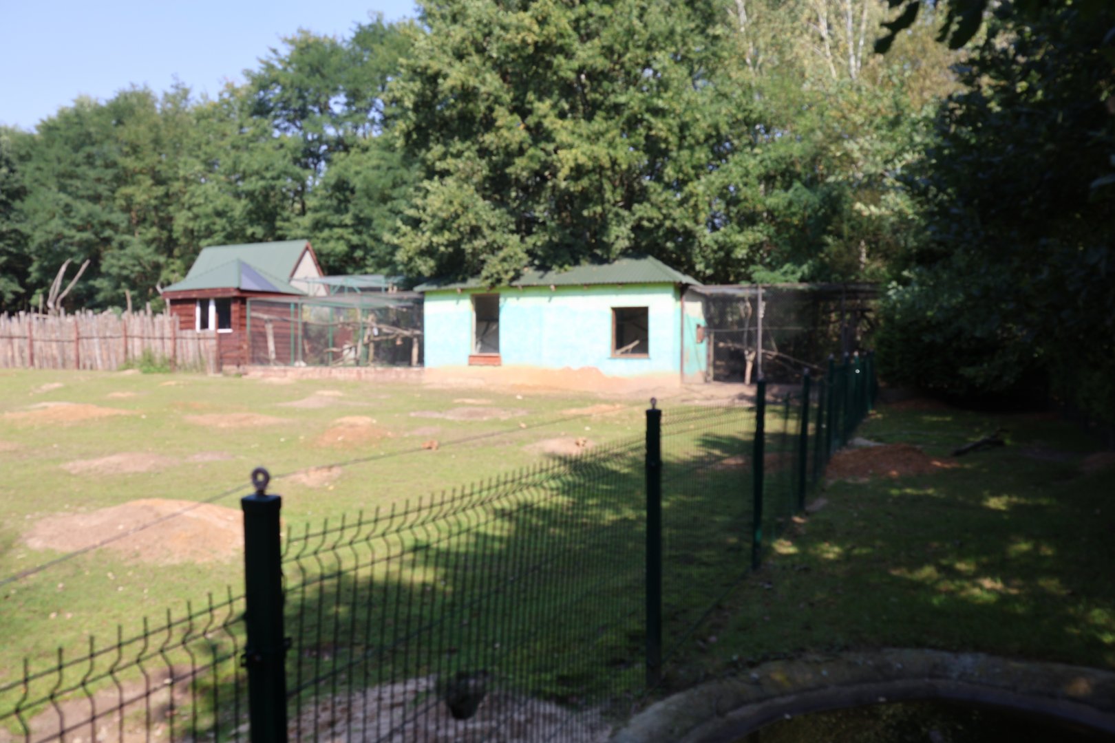 Zoo Lesne Zacisze (Lisow) - Buildings fltr red-bellied lemur, l'hoest guenon and grivet monkey