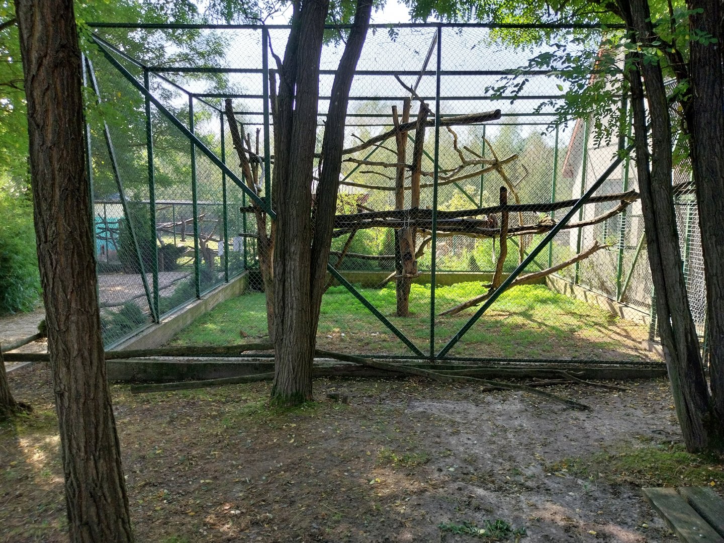 Zoo Lesne Zacisze (Lisow) - Collared Mangabey enclosure