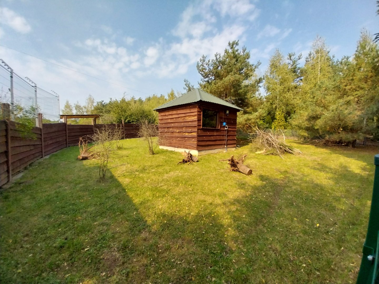 Zoo Lesne Zacisze (Lisow) - Common Red-rumped Agouti enclosure