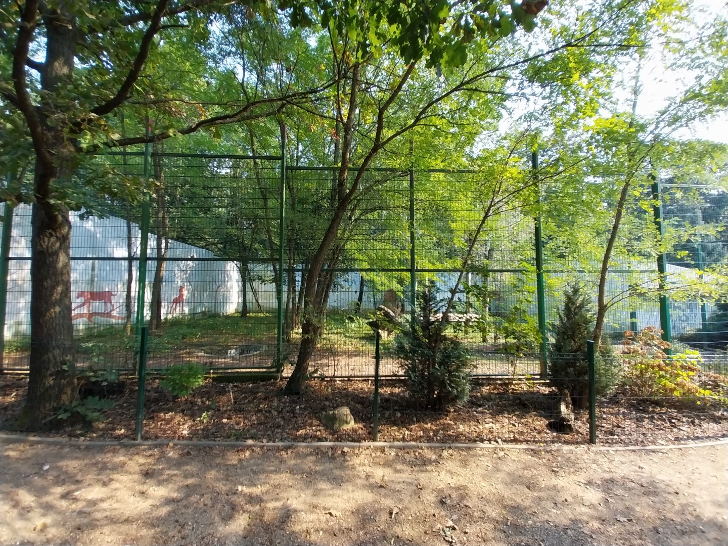Zoo Lesne Zacisze (Lisow) - Former lion enclosure