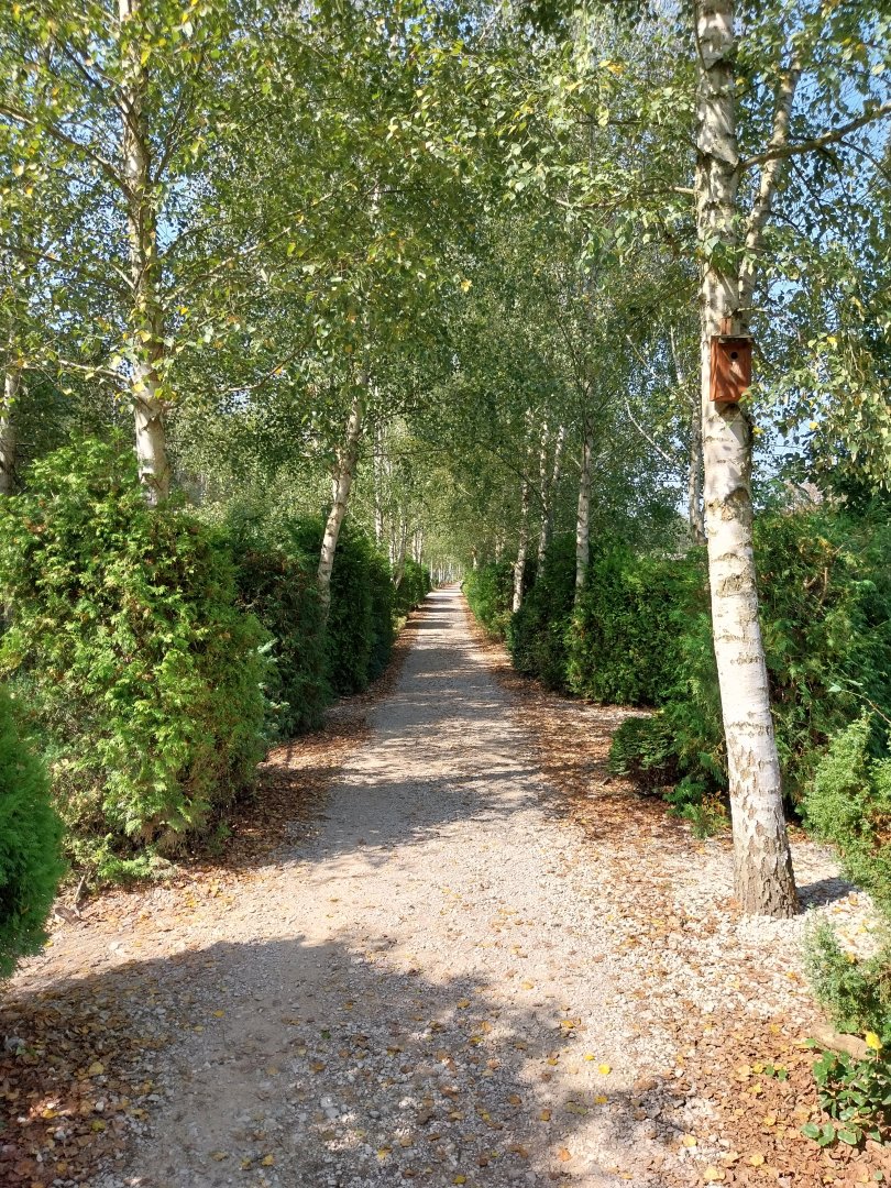 Zoo Lesne Zacisze (Lisow) - General view