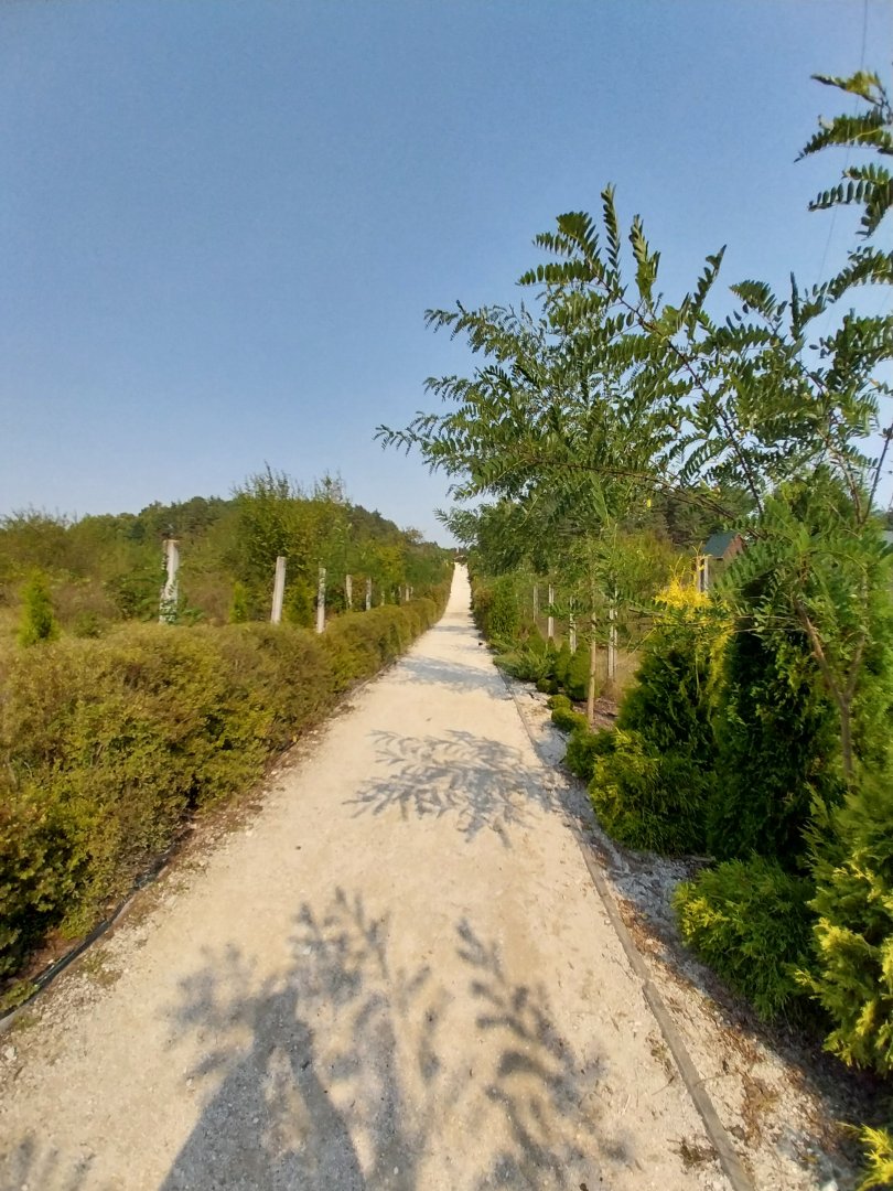 Zoo Lesne Zacisze (Lisow) - General view