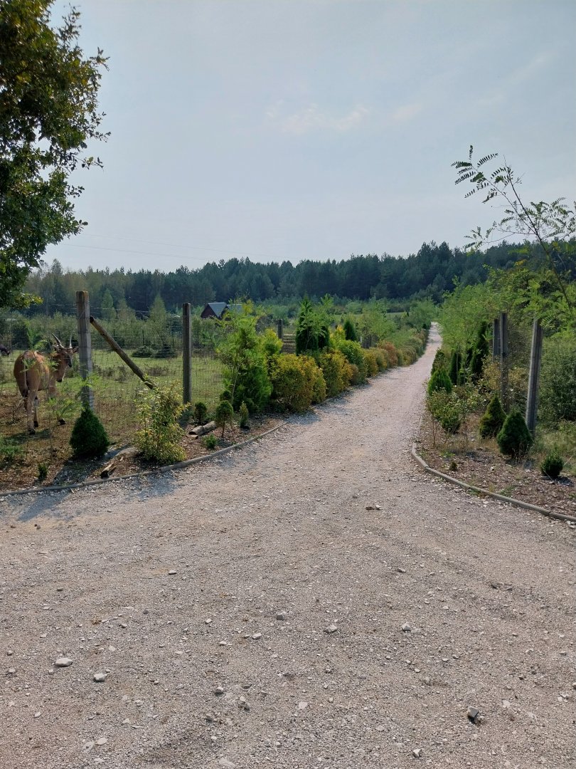 Zoo Lesne Zacisze (Lisow) - General view
