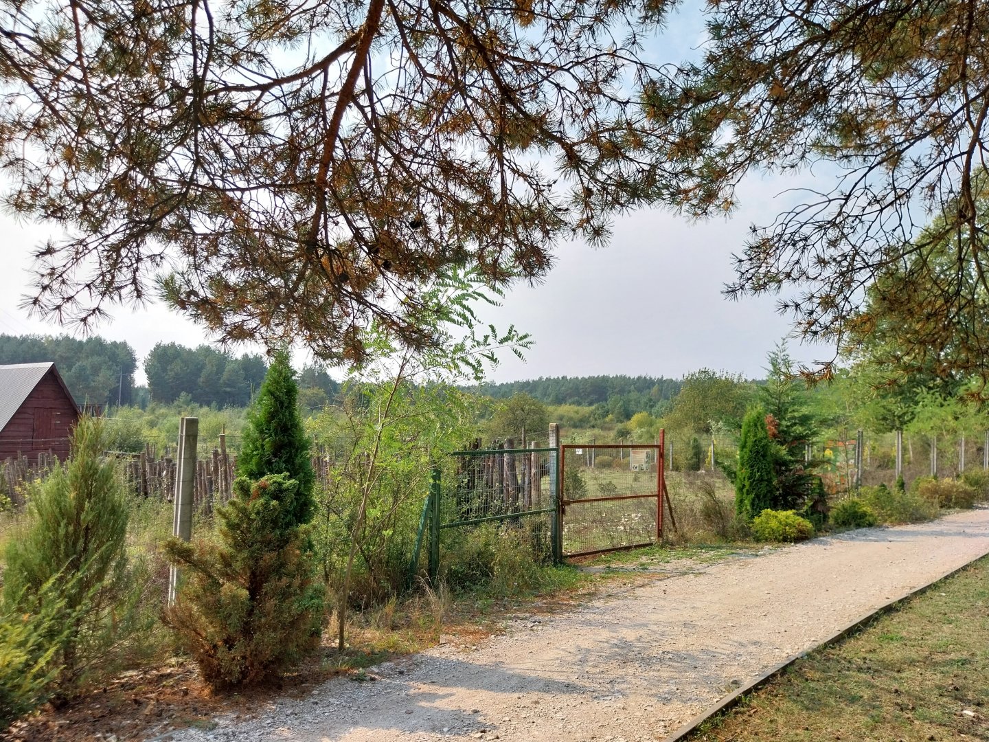 Zoo Lesne Zacisze (Lisow) - General view