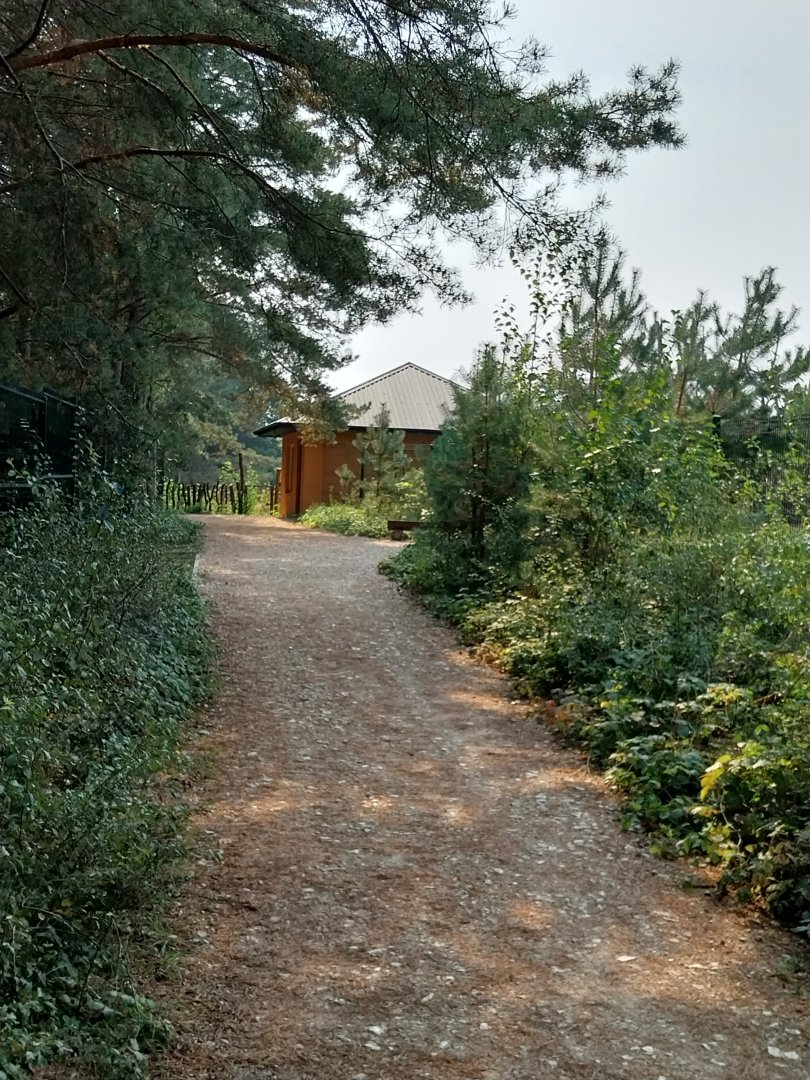 Zoo Lesne Zacisze (Lisow) - General view