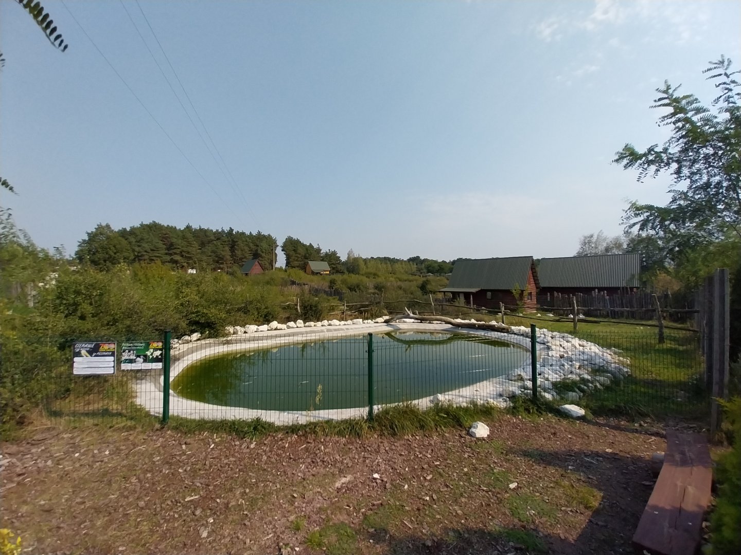Zoo Lesne Zacisze (Lisow) - Great White Pelican enclosure