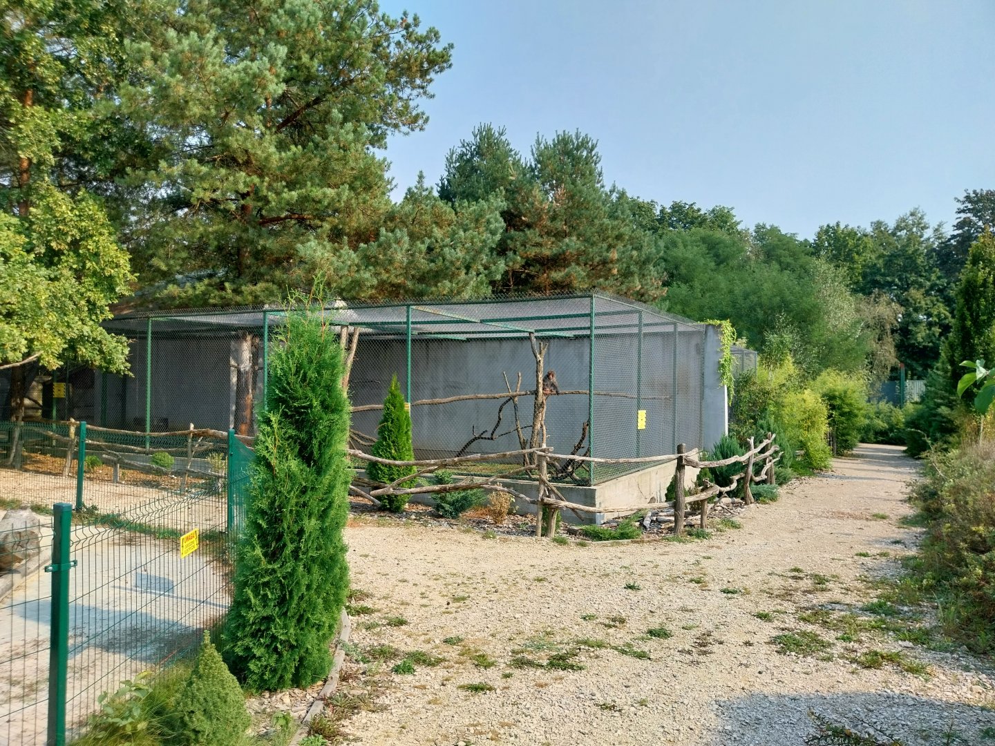 Zoo Lesne Zacisze (Lisow) - Japanese Macaque (Macaca fuscata) enclosure