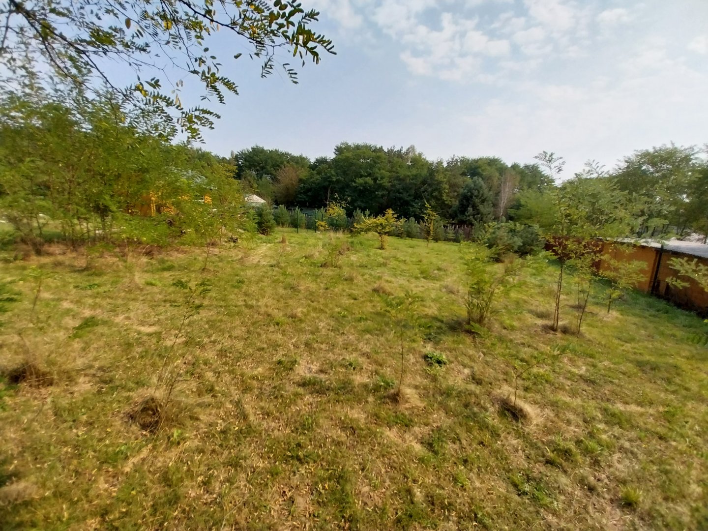 Zoo Lesne Zacisze (Lisow) - Maned Wolf (Chrysocyon brachyurus) enclosure