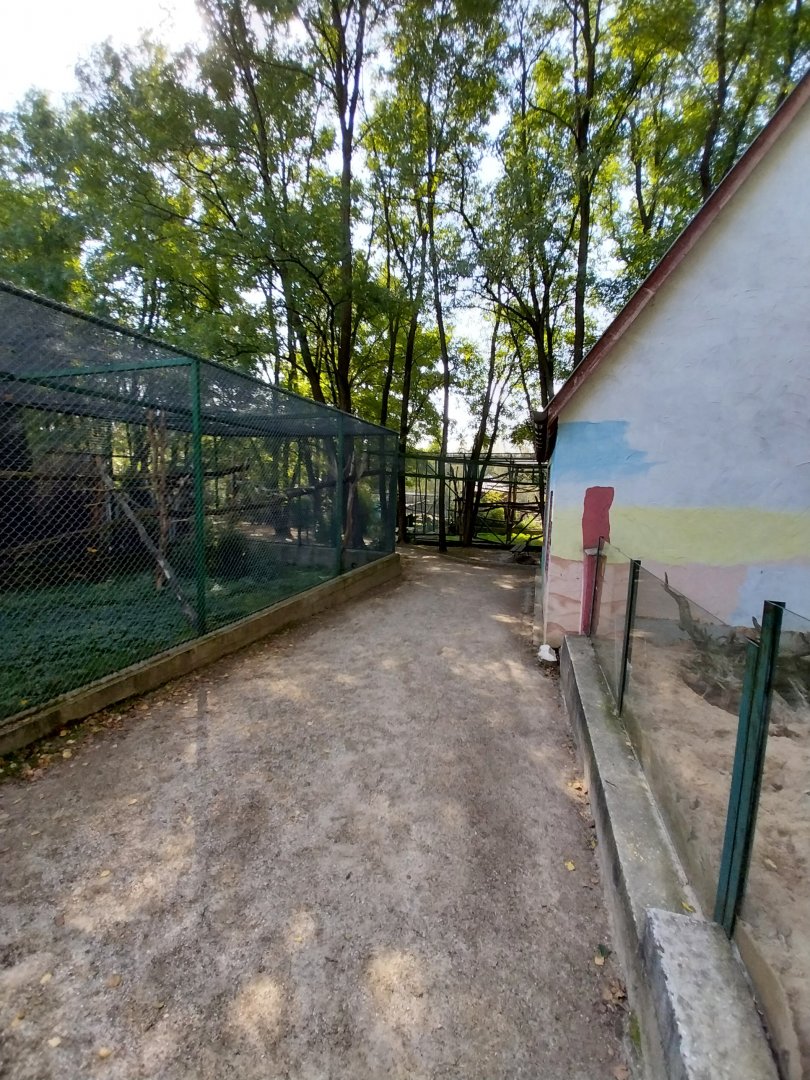 Zoo Lesne Zacisze (Lisow) - Meerkat and Sumatran Prevost's Squirrel enclosure