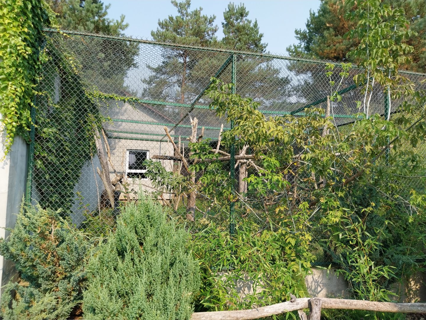 Zoo Lesne Zacisze (Lisow) - Mixed species aviary