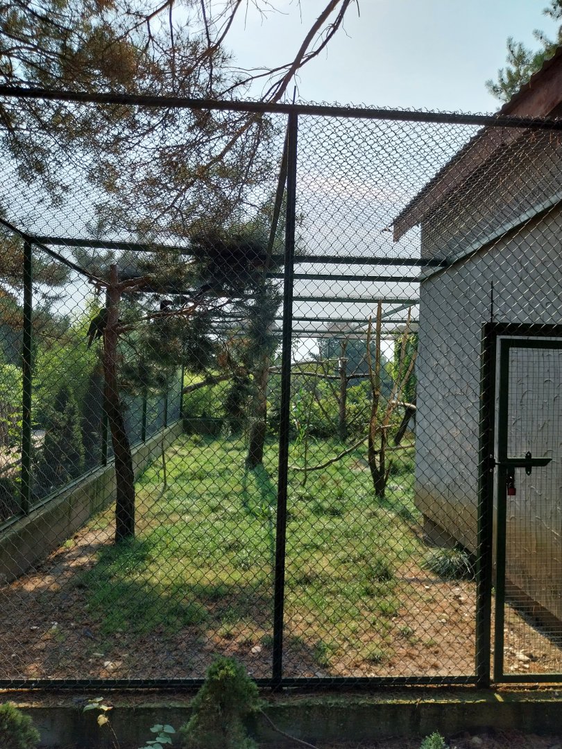 Zoo Lesne Zacisze (Lisow) - Mixed species aviary