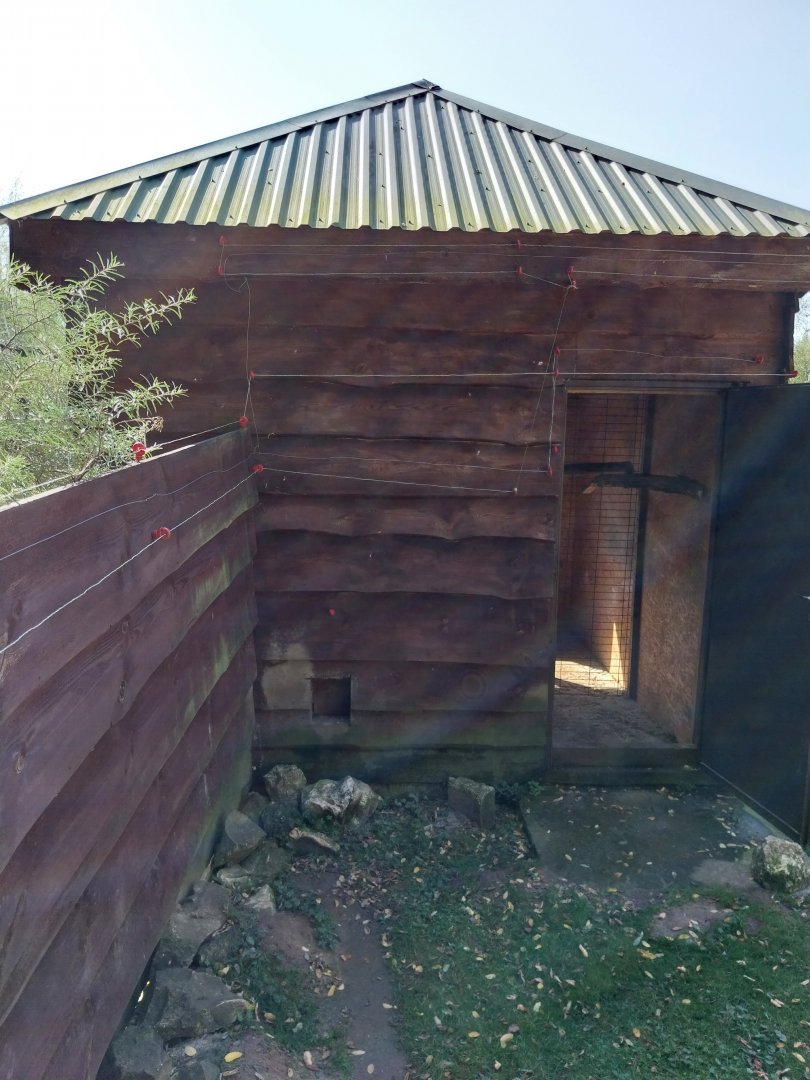 Zoo Lesne Zacisze (Lisow) - Red-bellied lemur building