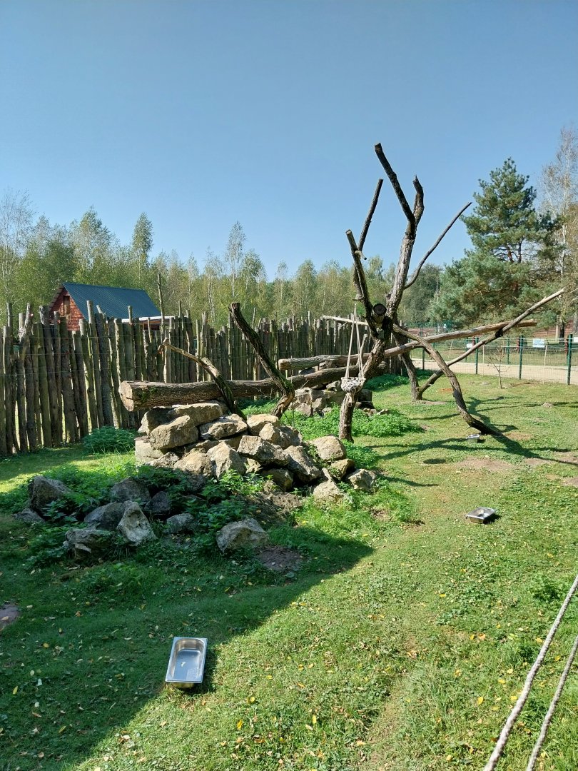 Zoo Lesne Zacisze (Lisow) - Red-bellied lemur enclosure
