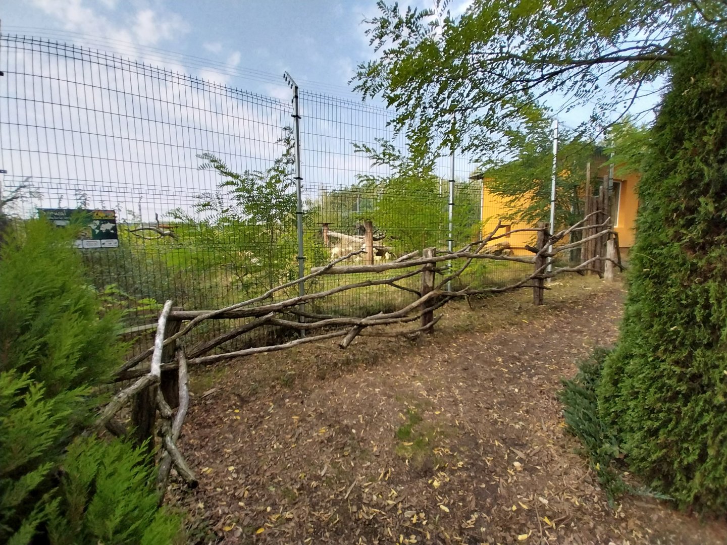 Zoo Lesne Zacisze (Lisow) - Serval (Leptailurus serval) enclosure