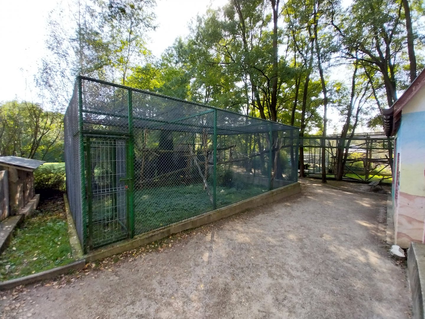 Zoo Lesne Zacisze (Lisow) - Sumatran Prevost's Squirrel enclosure