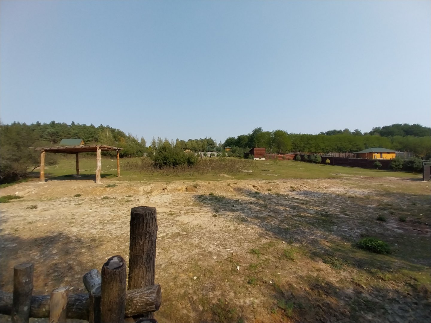Zoo Lesne Zacisze (Lisow) - White-tailed Wildebeest (Connochaetes gnou)