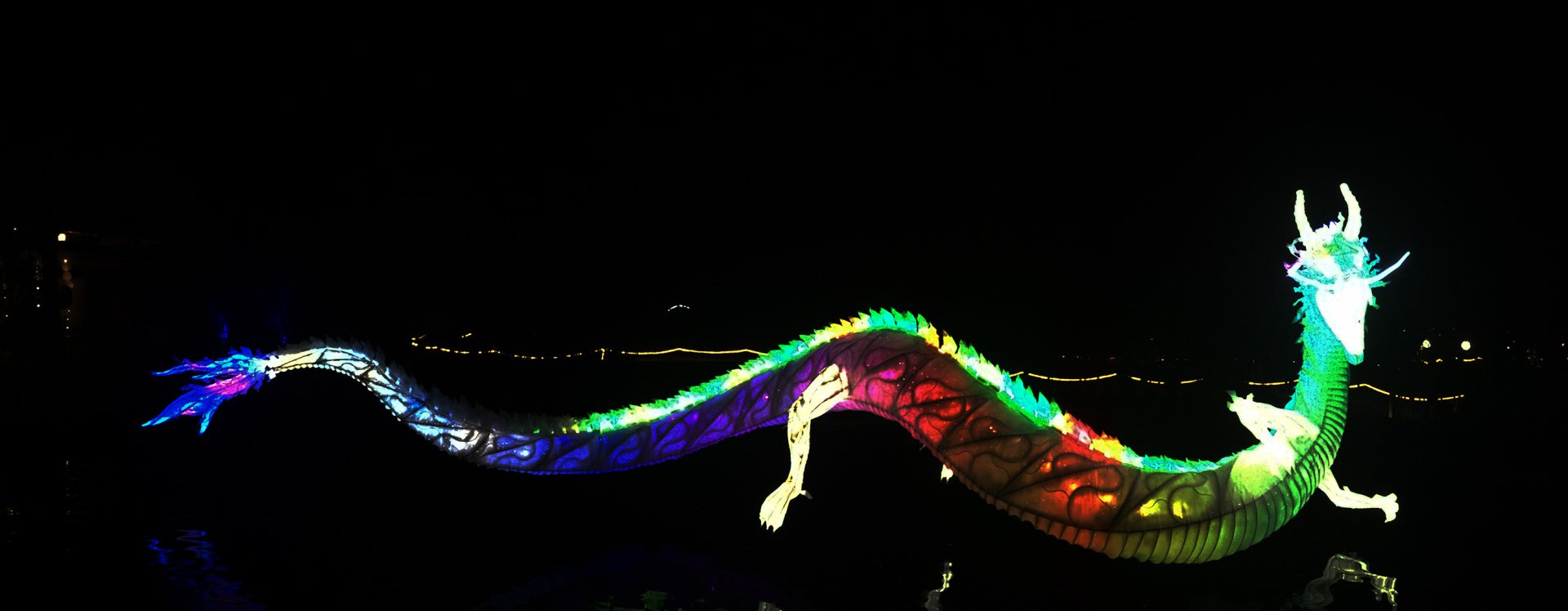 Zoo Lights 40 Foot Lighted Dragon