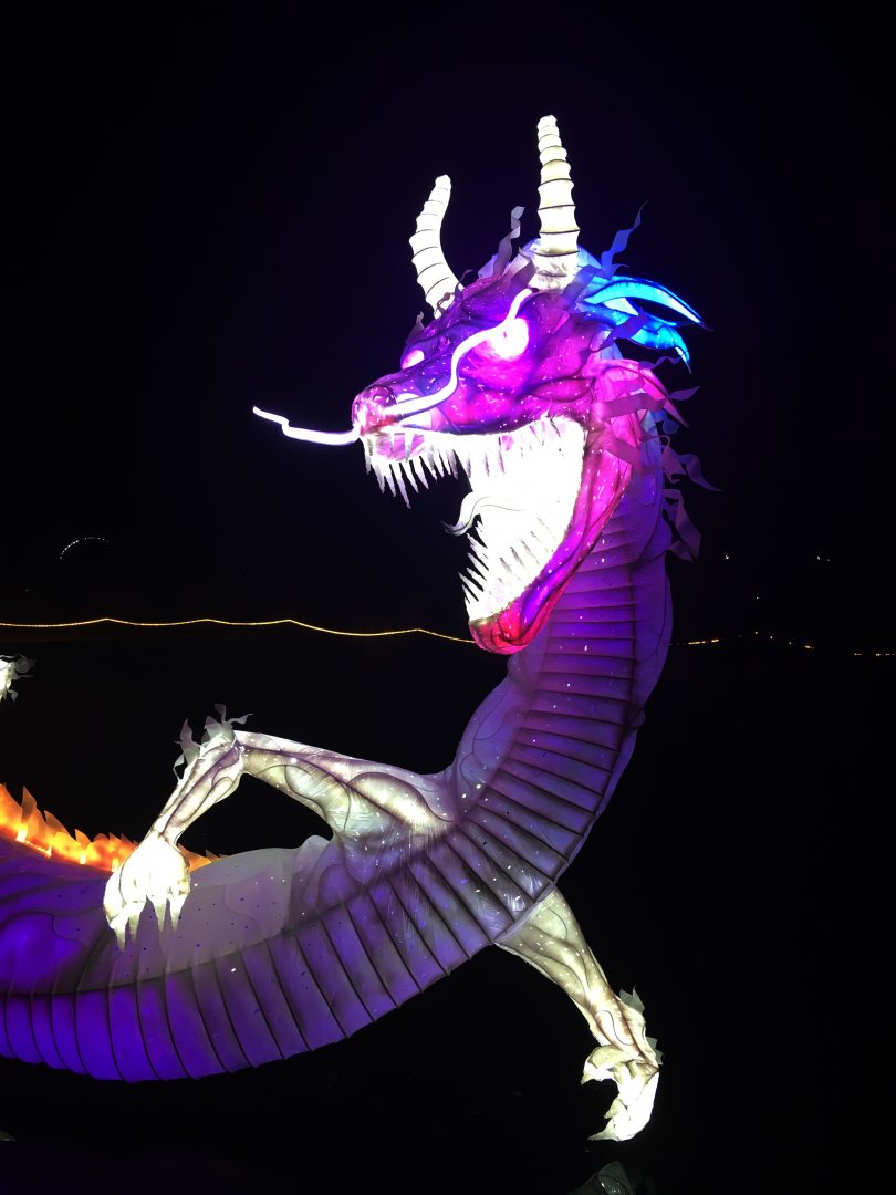 Zoo Lights 40 Foot Lighted Dragon